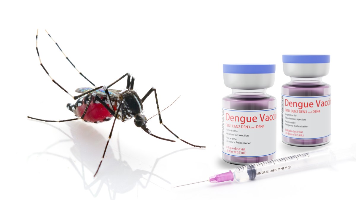Strängnäs Vaccin dengue qdenga